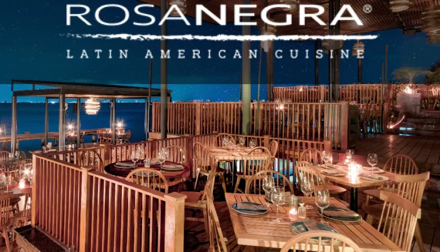 Rosa Negra – Latino