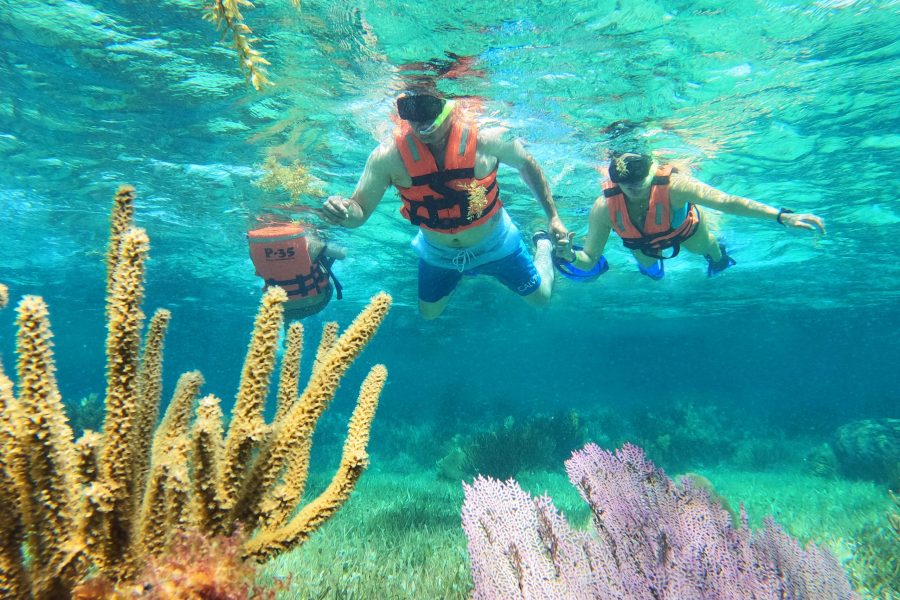 Snorkeling Puerto Morelos Reef